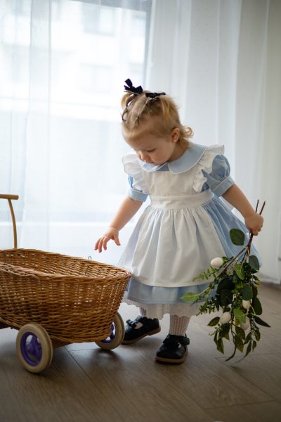 Alice in Wonderland Inspired Blue Pinafore Dress