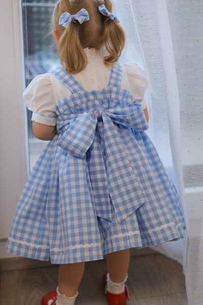 Blue Gingham Dorothy Inspired Cottagecore Dress
