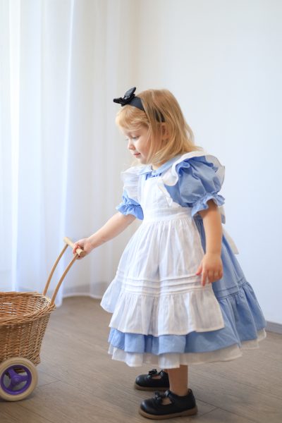 Alice in Wonderland Inspired Blue Dress with White Pinafore