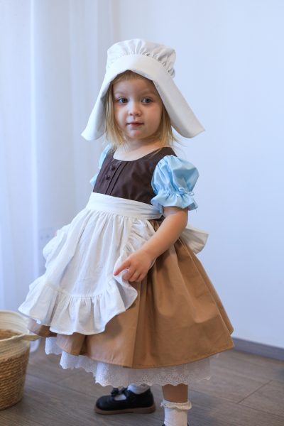 Cinderella Inspired Toddler Girl Dress with Apron and Bonnet