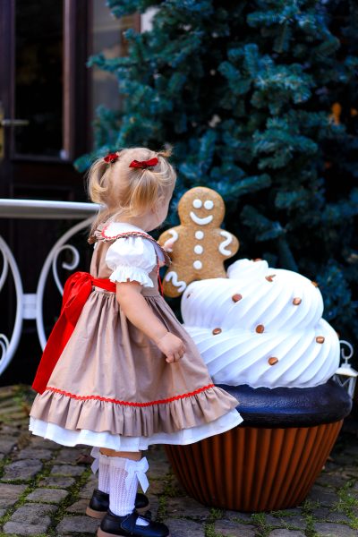 Gingerbread Dress - Christmas Baby Dress